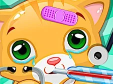Doctor animale de companie